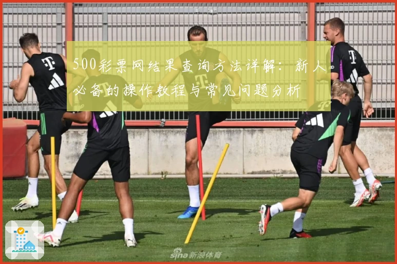 500彩票网结果查询方法详解:新人必备的操作教程与常见问题分析