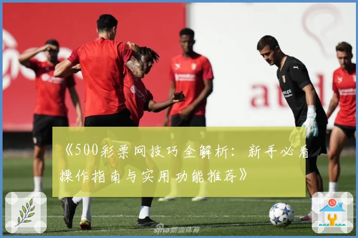 《500彩票网技巧全解析:新手必看操作指南与实用功能推荐》
