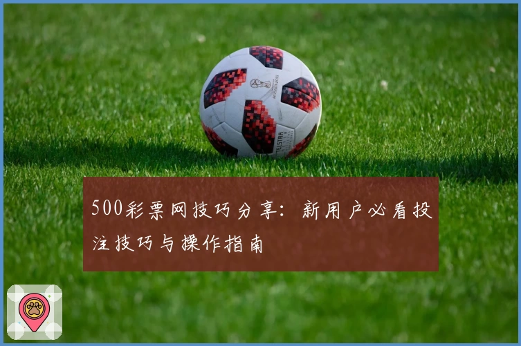 500彩票网技巧分享：新用户必看投注技巧与操作指南