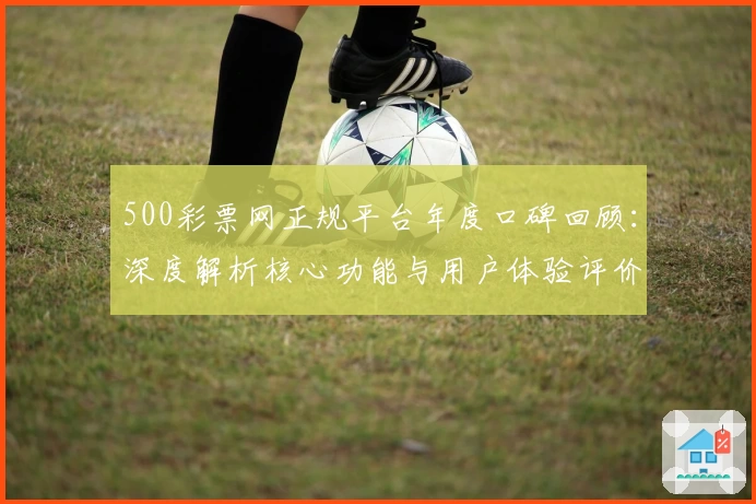 500彩票网正规平台年度口碑回顾：深度解析核心功能与用户体验评价