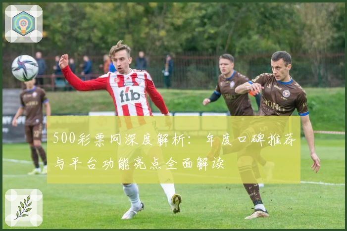 500彩票网深度解析：年度口碑推荐与平台功能亮点全面解读