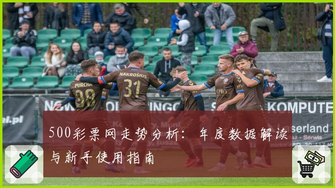 500彩票网走势分析：年度数据解读与新手使用指南